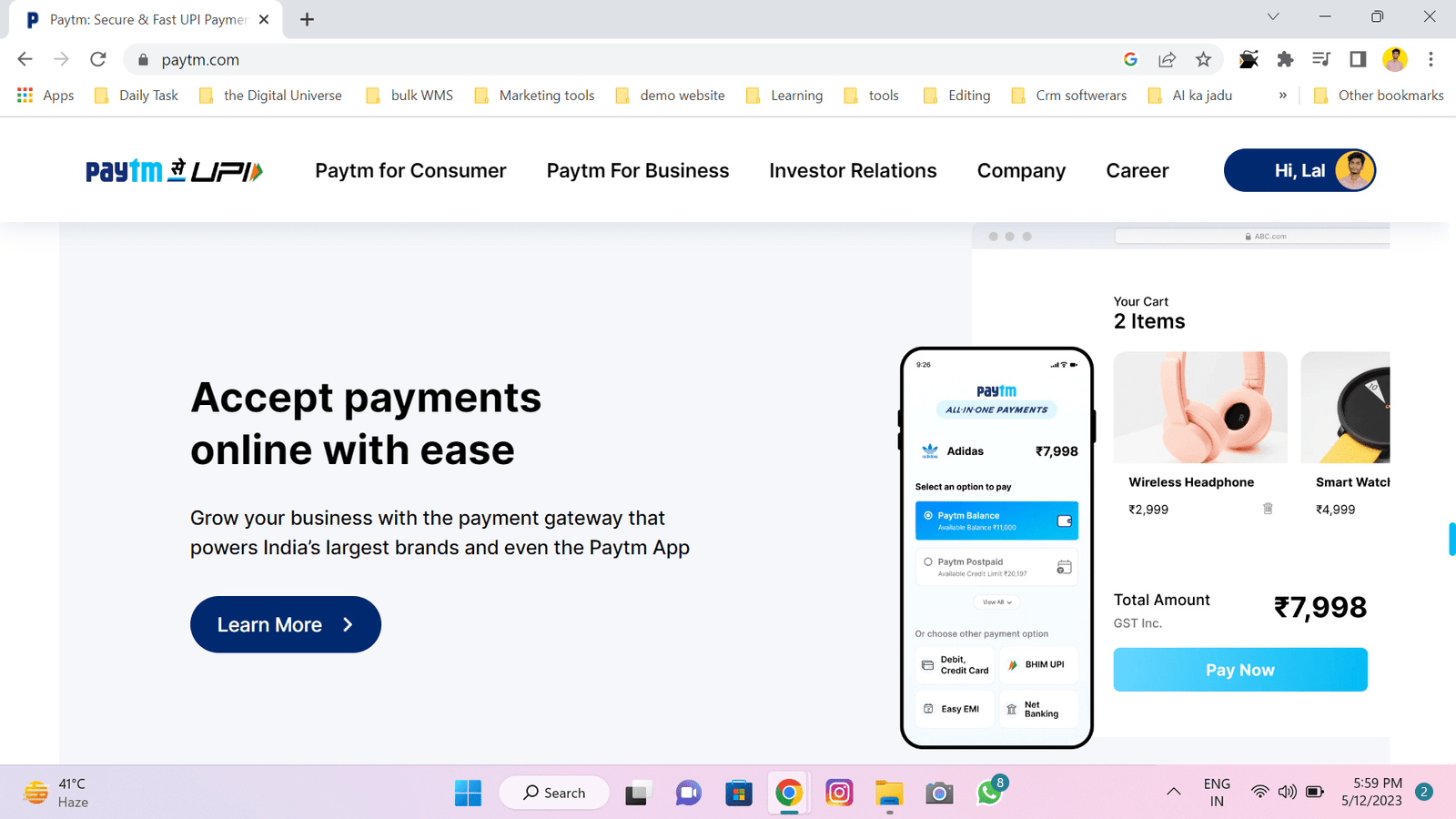 a screen shot of the nelup online payment gateway page.